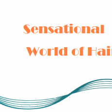 Sensation_world_of_hair_logo